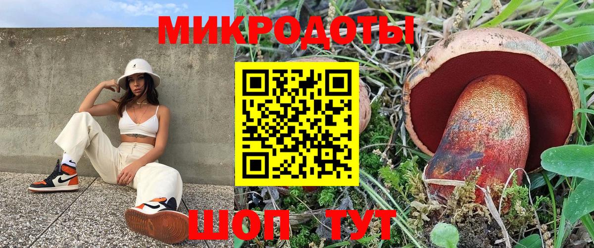 Псилоцибиновые грибы прущие грибы Касимов