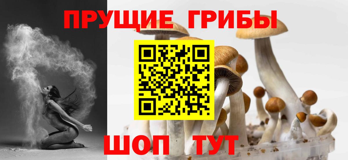 Касимов  Галлюциногенные грибы MAGIC MUSHROOMS  Вход с VPN 